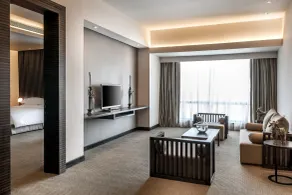 Hyatt Raipur - Vue de la chambre