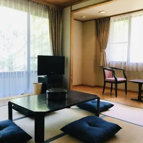 Lake Side Nikko Hotel - Camera