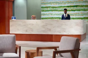 SpringHill Suites by Marriott Atlanta Buckhead - Recepción