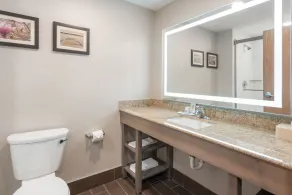 Comfort Inn Grove City - Columbus South - Salle de bain