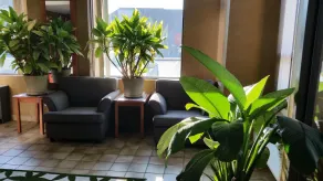 Avenue Motel - Entrada interior