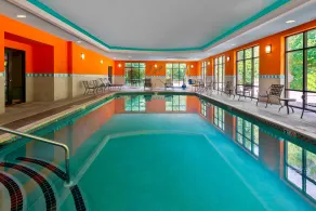 Hampton Inn Springfield South Enfield - Piscine