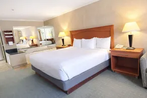 Best Western Davison Inn - Chambre