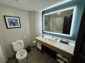 La Quinta by Wyndham Dallas Arlington South - Salle de bain