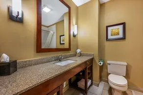 Best Western Plus Georgetown Corporate Center Hotel - Salle de bain