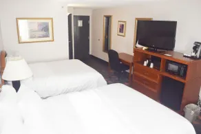 Holiday Inn Great Falls-Convention Center by IHG - Camera