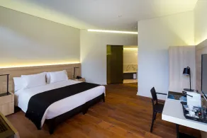 Hotel Altiplanico Bellas Artes - Room