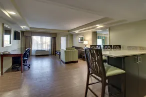 Holiday Inn Resort Orlando - Lake Buena Vista by IHG - Room