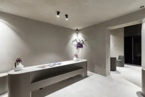 Elysium Suites collection - Reception