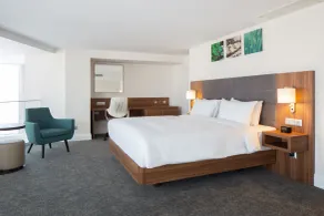 Hilton Garden Inn Bucharest Old Town - Room