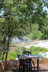 Evergreen Glamping - Restaurant