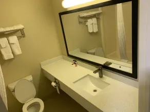 Travelodge by Wyndham Odessa - Salle de bain