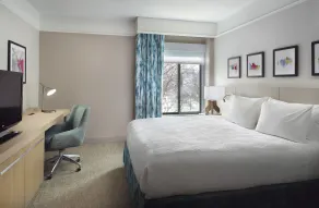 Hilton Garden Inn Atlanta-Buckhead - Room