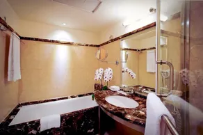 鼎隆國際商旅 Hotel Dion - Bathroom