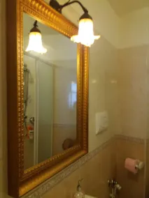 B&B Myosotis - Baño