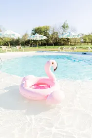 The Frenchie - Pool