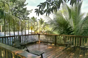 The Funky Dodo Backpackers Hostel - View from room