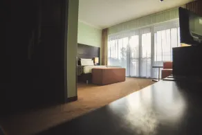 Hotel Central Regensburg CityCentre, Sure Hotel Collection by Best Western - Room