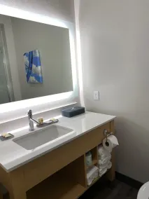 La Quinta Inn & Suites by Wyndham Wisconsin Dells- Lake Delton - Salle de bain