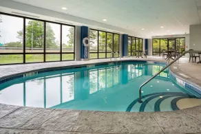 Hampton Inn Buffalo South/I-90 - Piscine