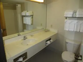 Country Inn & Suites by Radisson, Lansing, MI - Salle de bain