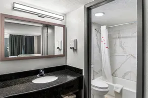 Red Roof Inn Richmond - Airport Sandston - Badezimmer