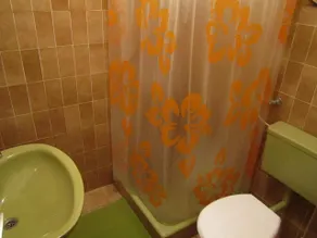 Apartments Biočić - Bathroom