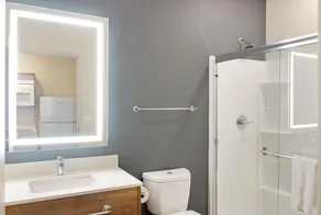 Extended Stay America Premier Suites - Phoenix - Chandler - Downtown - Bathroom