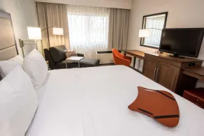 Hampton Inn Albany-Western Ave/University Area - Room
