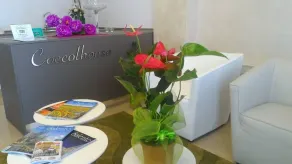 Luxury B&B Coccolhouse - Rezeption