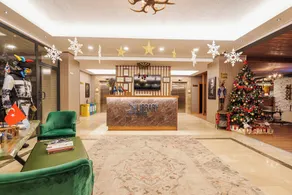 Library Hotel Erciyes - Reception