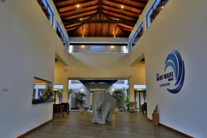 The Blue Wave Hotel - Réception