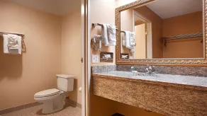 Best Western Resort Hotel & Conference Center Portage - Salle de bain