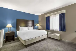 Comfort Inn & Suites Mundelein-Vernon Hills - Chambre