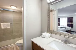 Clarion Pointe East Lansing University Area - Salle de bain