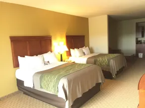 Comfort Inn & Suites Rogersville - Vista do quarto