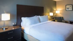 Holiday Inn St. Paul Downtown by IHG - Chambre