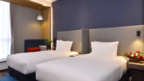 Holiday Inn Express Luanchuan by IHG - Habitación