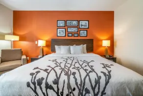 Restwell Inn & Suites I-45 North - Chambre