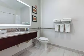 Comfort Suites Lombard - Addison - Salle de bain