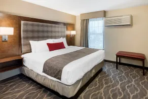 Country Inn & Suites by Radisson, Grandville-Grand Rapids West, MI - Chambre