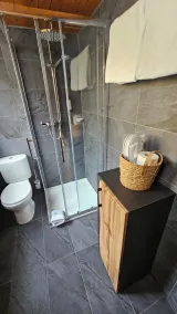 Alpina Boutique Hotel Interlaken - Ringgenberg - Adults only ! - Salle de bain