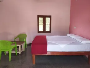 Hampi Blue Moon Resort - Habitación