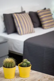 Olive Mykonos Villas - Chambre