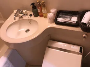 Hotel Taisetsu Onsen&Canyon Resort - Salle de bain