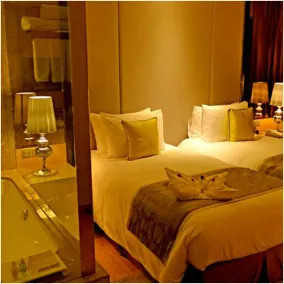 Radisson Blu Jaipur - Room