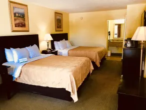Quality Inn & Suites Conference Center Statesboro Historic District - Chambre