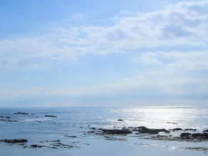 Shirahama Ocean Resort - Vue de la chambre