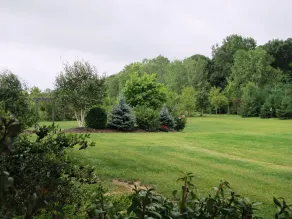 Wenzler's Landing Bed & Breakfast - View from room