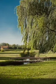 Algodon Wine Estates & Champions Club - Ausblick vom Zimmer